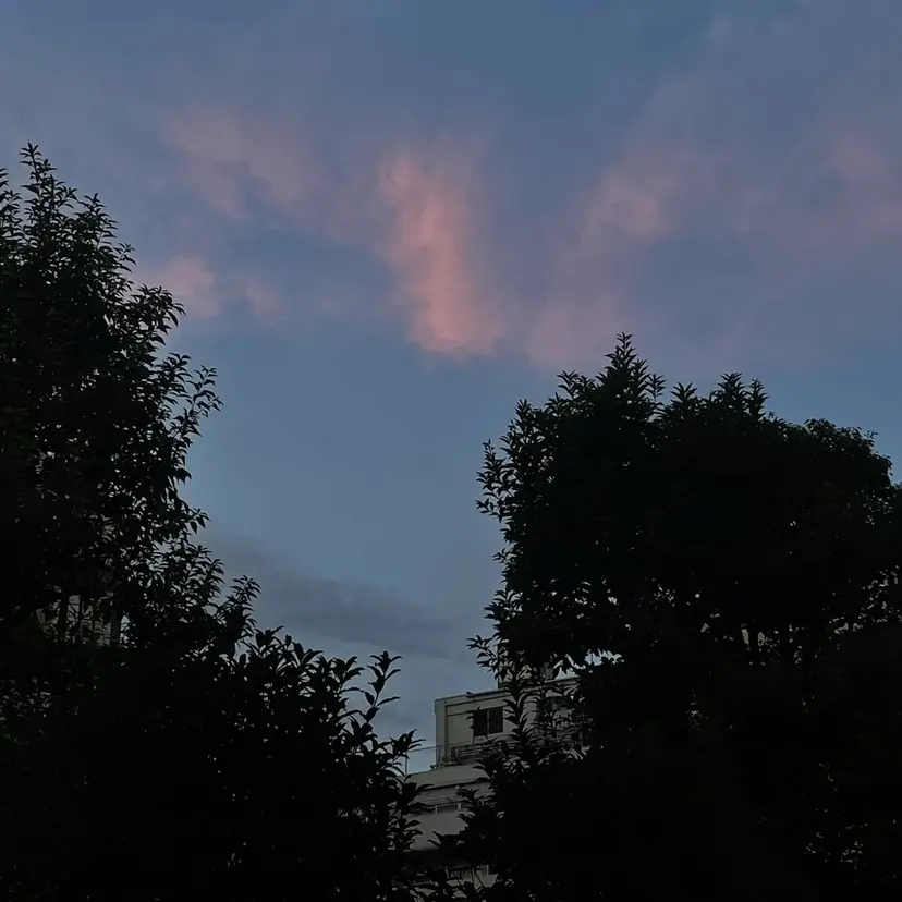 カットモデル募集中 🌷なつきの掲載