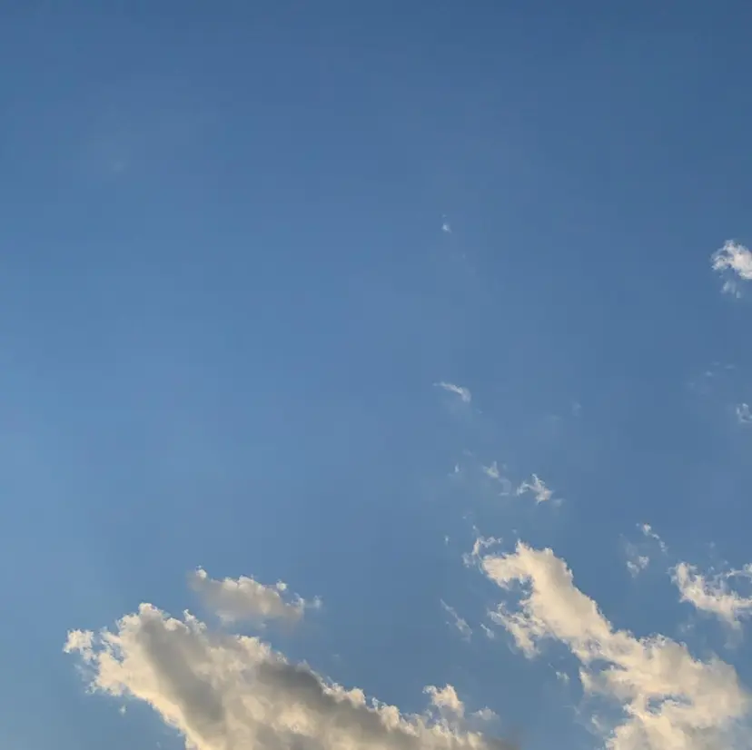 吉田 宙生の掲載