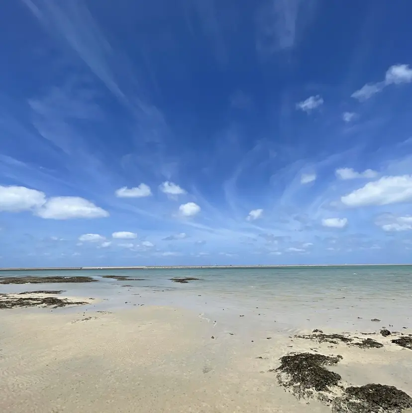 野本光一朗/メンズ/ メンズパーマの掲載