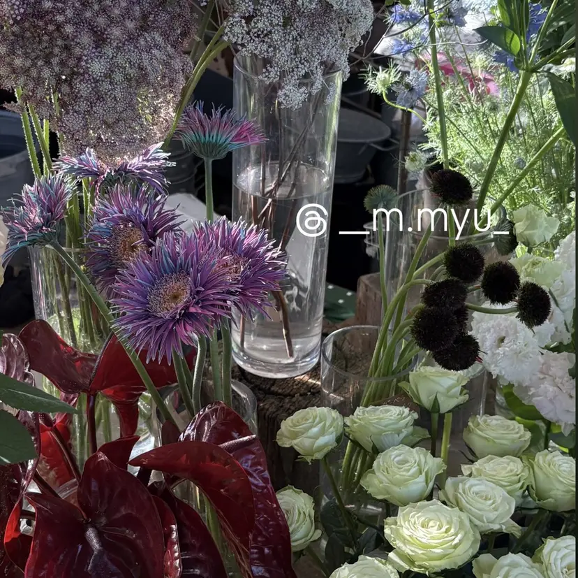 sofaSENDAI myu/みゅう🪷の掲載