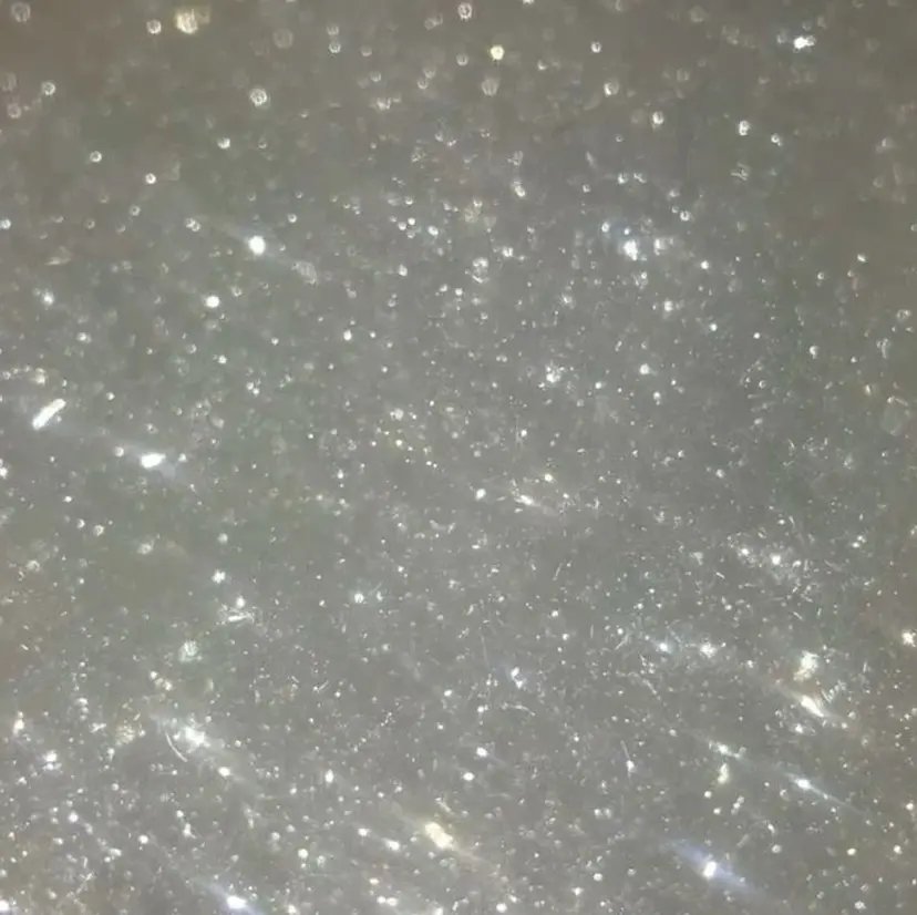 亀井 咲那の掲載