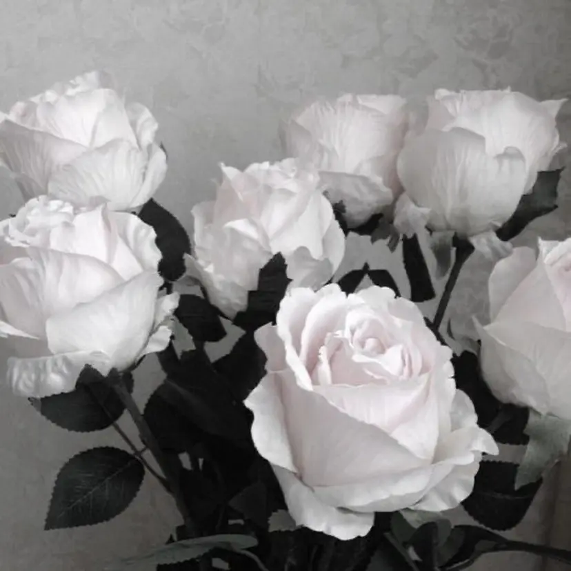 アイリスト🎀 Marieの掲載