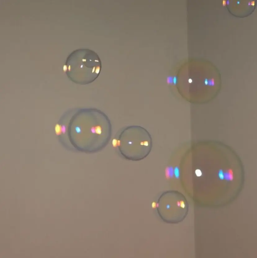 大原 望愛の掲載