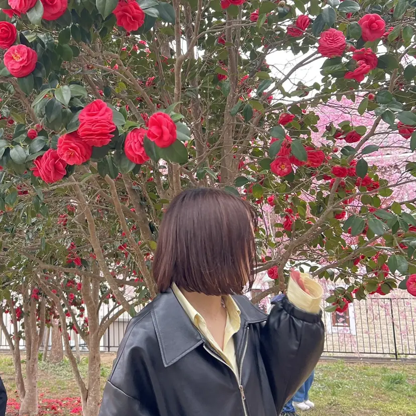 板垣 來夢の掲載