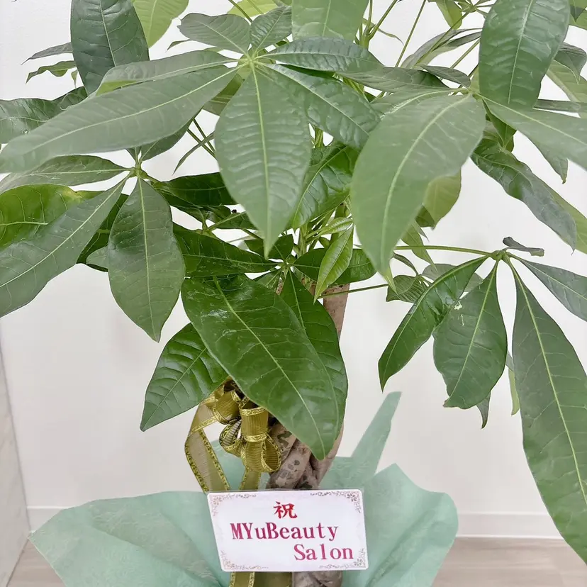 MYu Beauty Salon  MAIの掲載