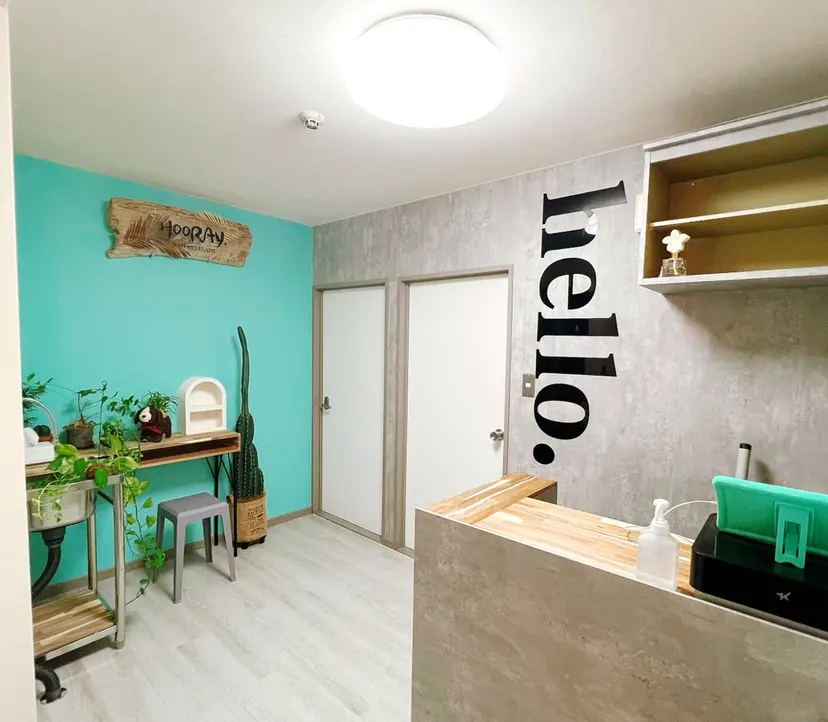 HOORAY. フーレイの掲載