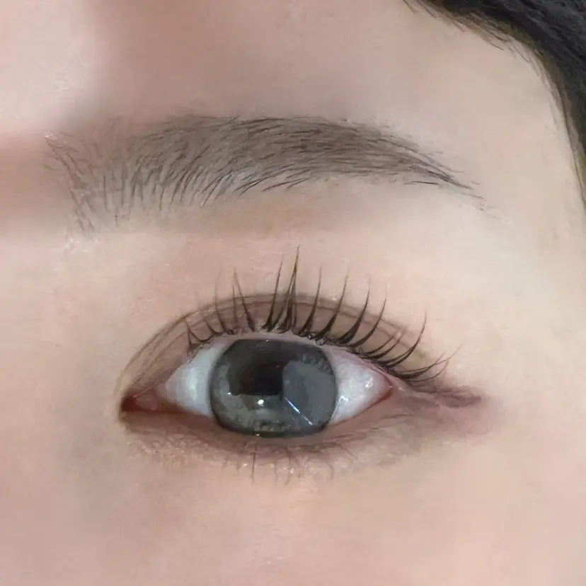 デイジーラッシュ 第3ビル 吉谷の掲載