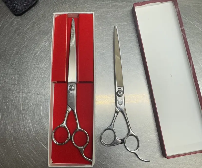 清水 温哉の掲載