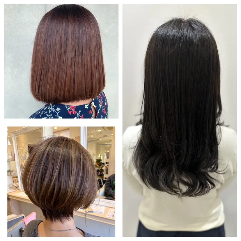 鈴木 華枝の掲載