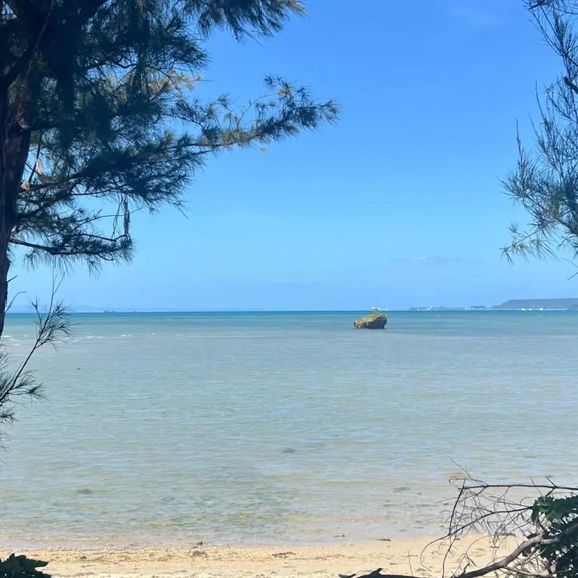 FIRST 💎🫧Hiyoriの掲載