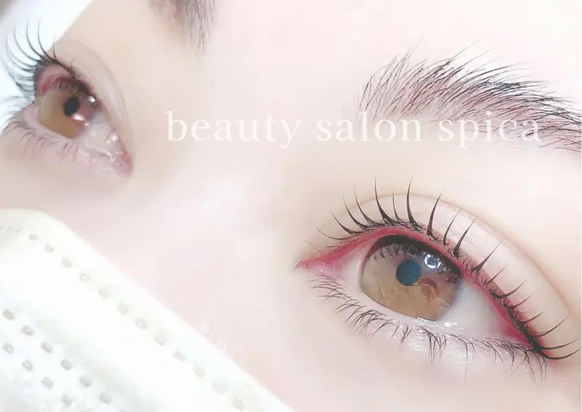 中本 海麗の掲載