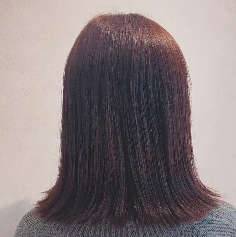 モリ エリの掲載