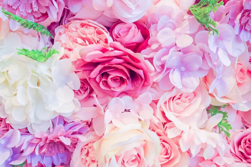 Salon de milly ヨシザキの掲載