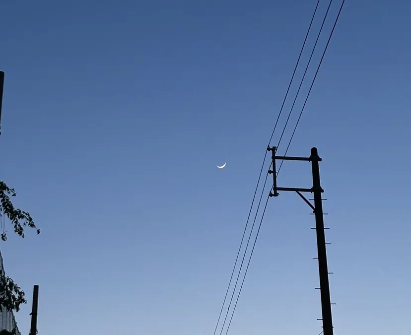 瀧浪 優大の掲載