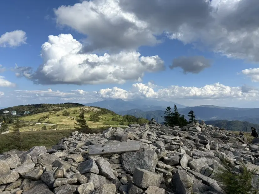 南雲 由麻の掲載