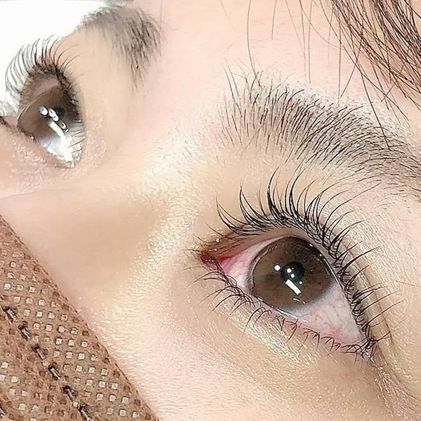 petitblanc shokoの掲載