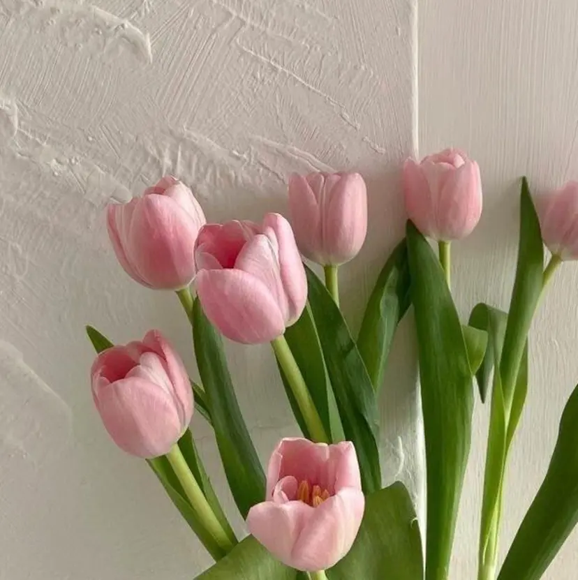 clam. yuu🦩の掲載