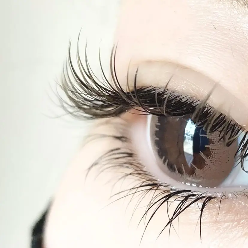 Lily (リリー) 🔰古賀の掲載