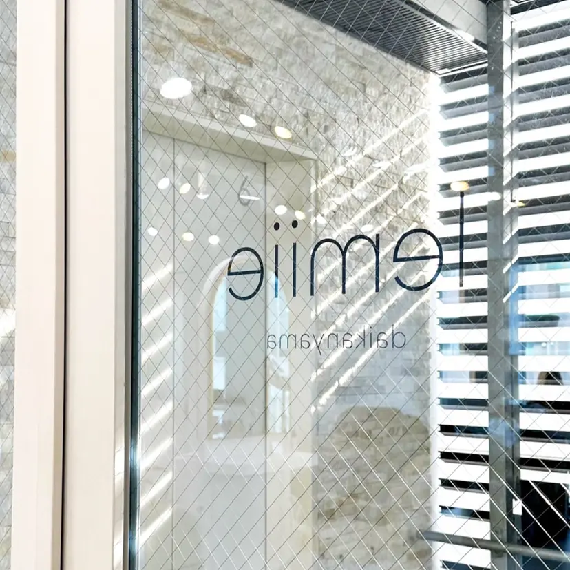 “似合わスタイル” lemiie ハナの掲載