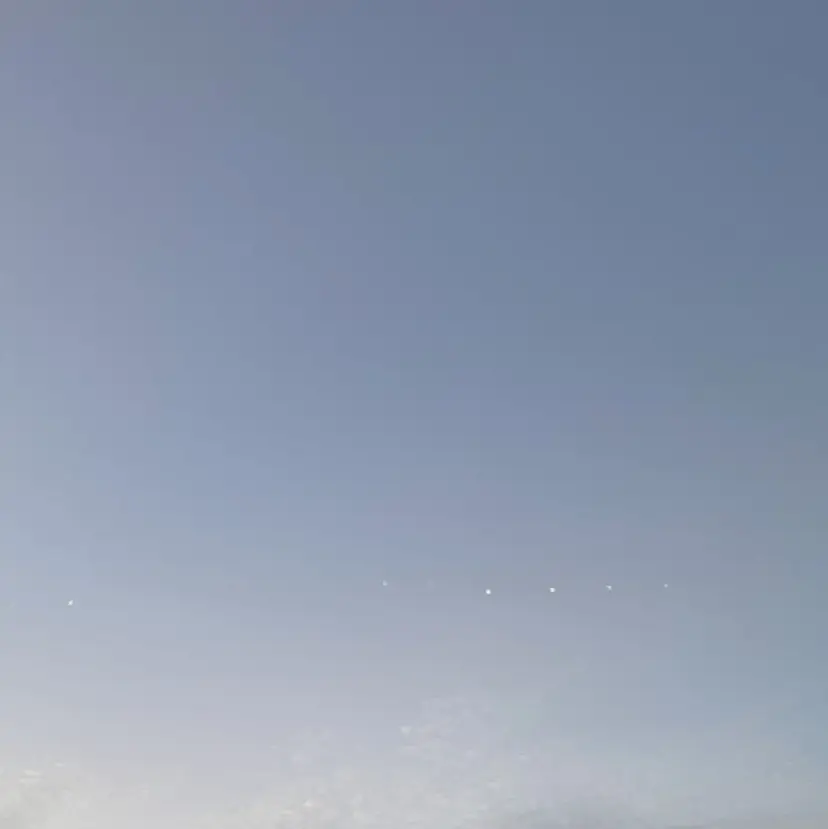 ✿ すずかの掲載