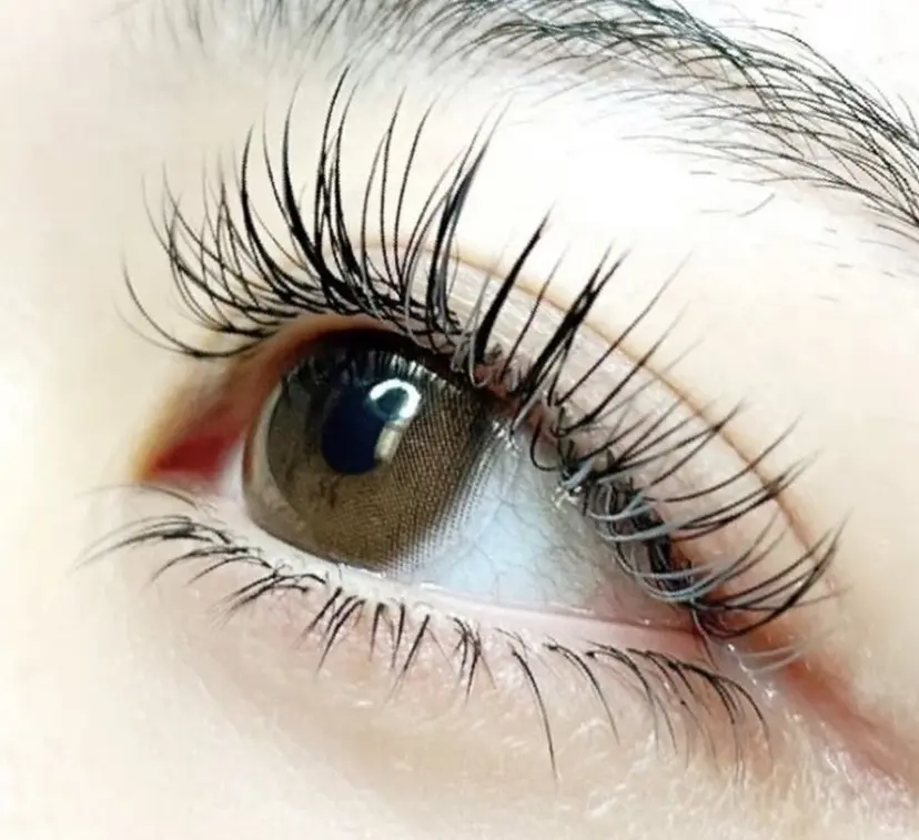 板坂 真依の掲載