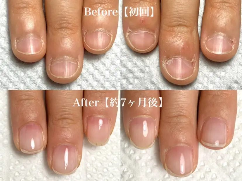 沼沢 めいの掲載