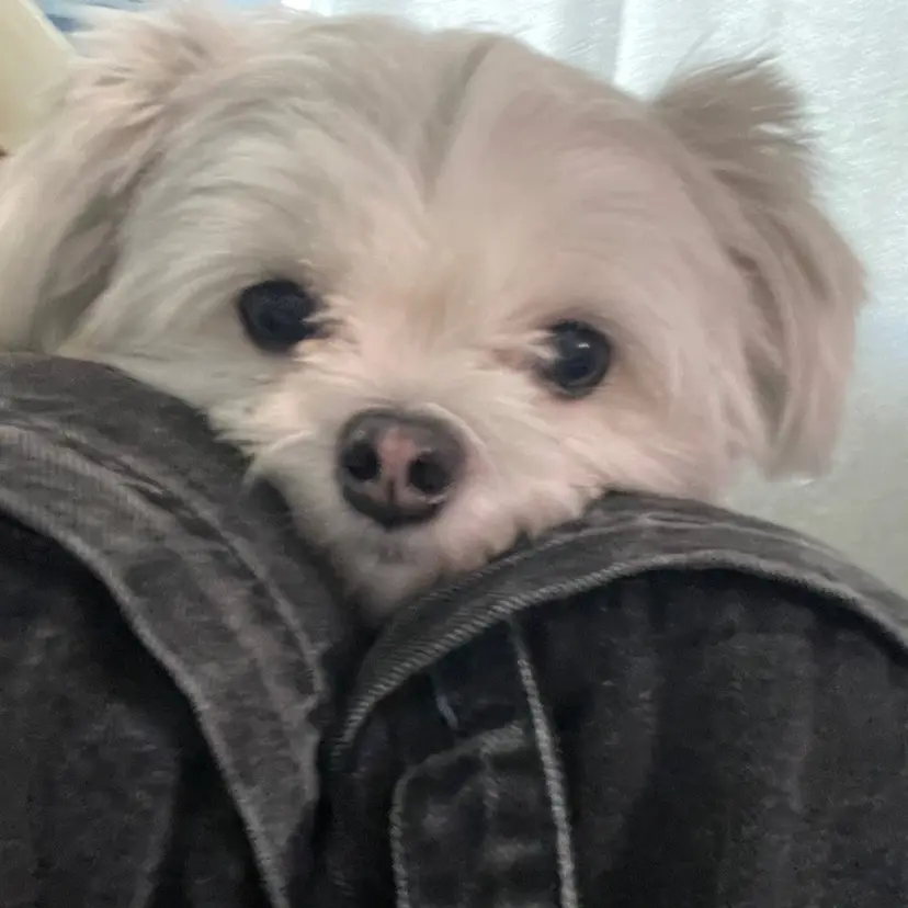 鐘本 尚輝の掲載