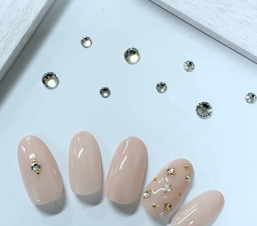 岸 明莉沙の掲載