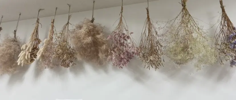 nuás* ニュアーズの掲載