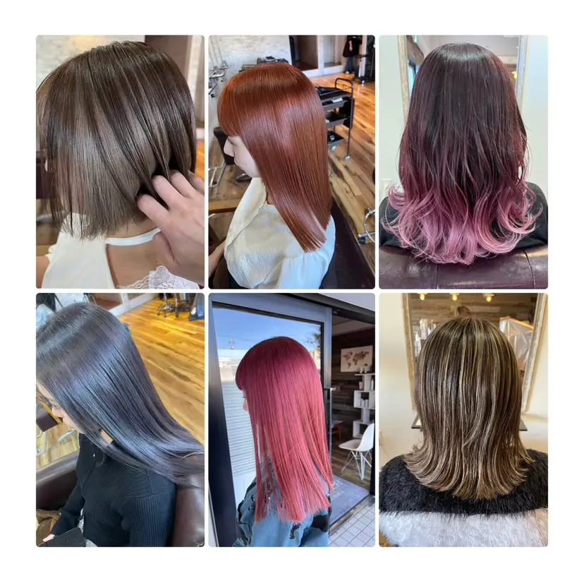 海老沢 亜衣の掲載