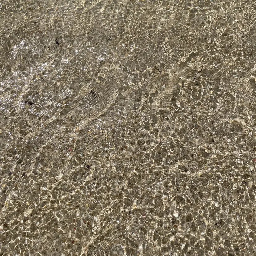 中田 瞳真の掲載