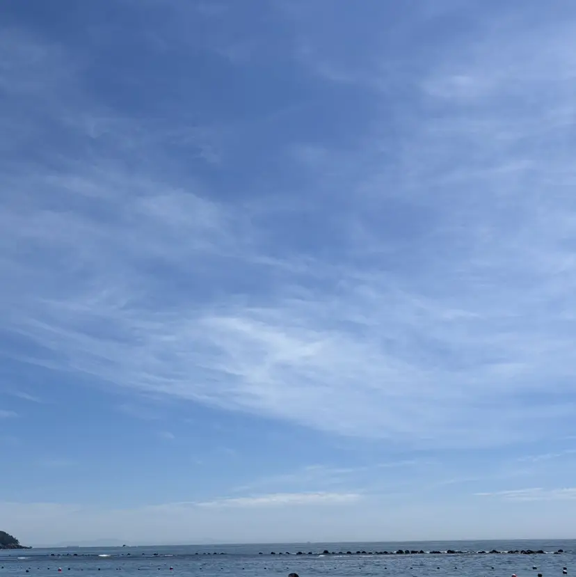 村上 眞美の掲載