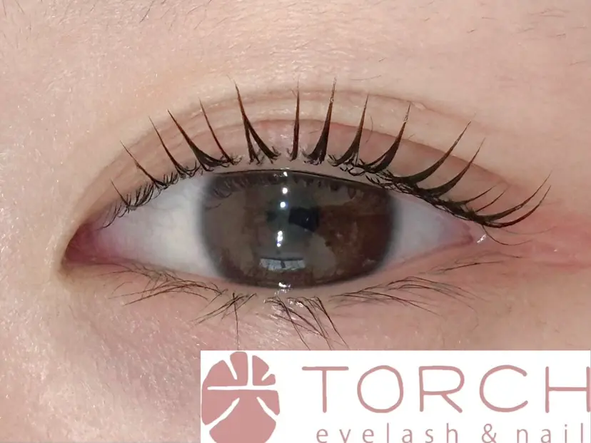 TORCH くるみの掲載