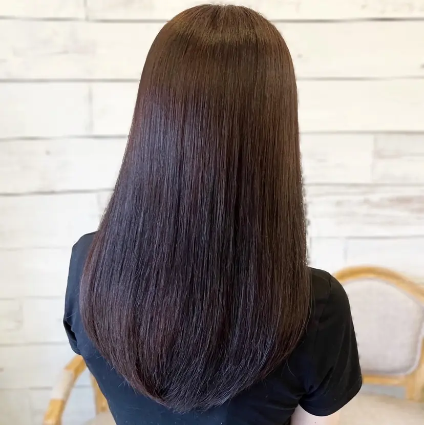 政木 紳吾の掲載