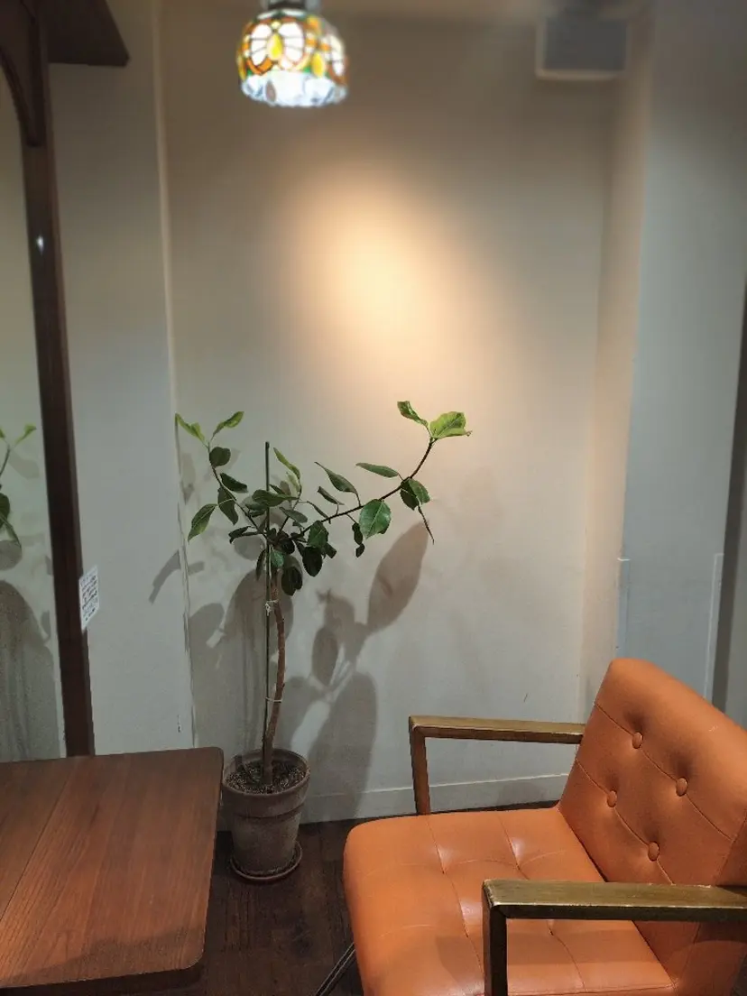 カットモデル募集＊ K.Aの掲載