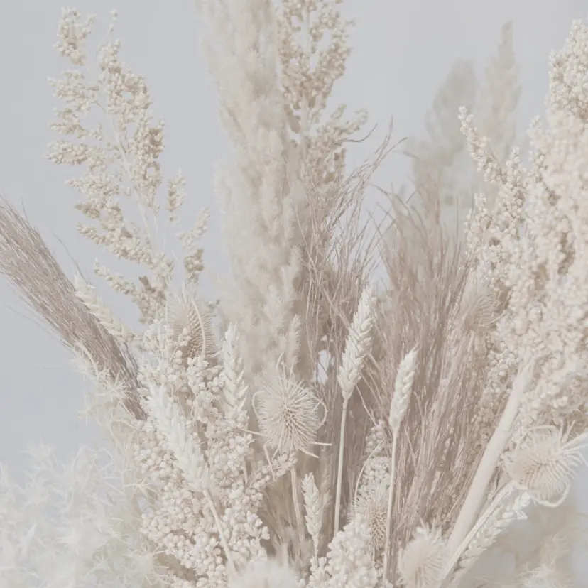 みっちーサロン shioの掲載