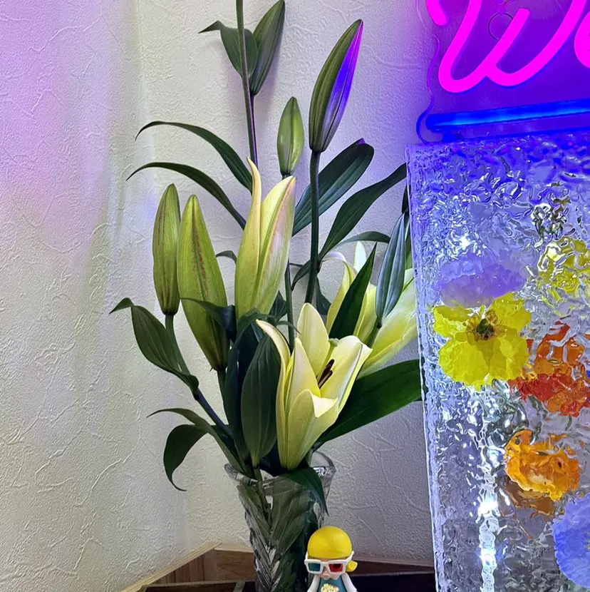 Ruru Dopamineの掲載