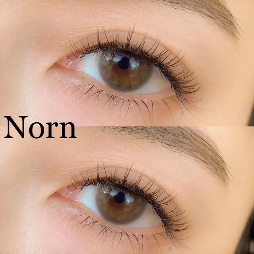 瀬戸 楓花の掲載