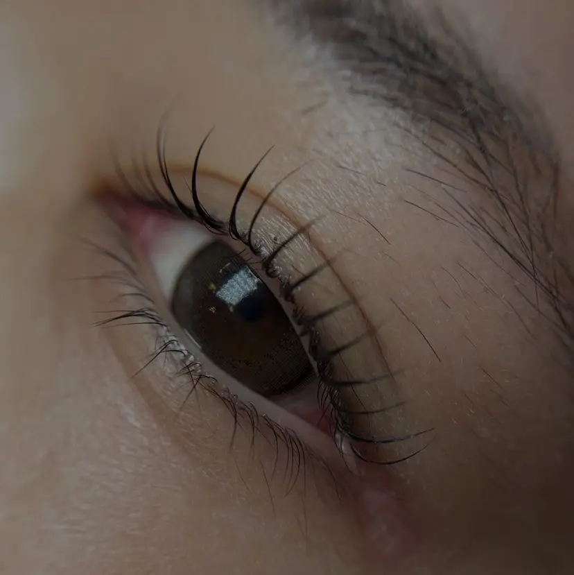 Maeve メイの掲載