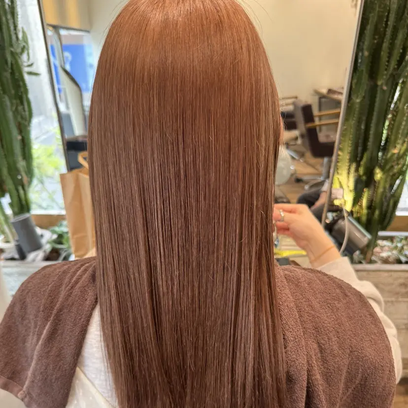 佐藤 天真の掲載