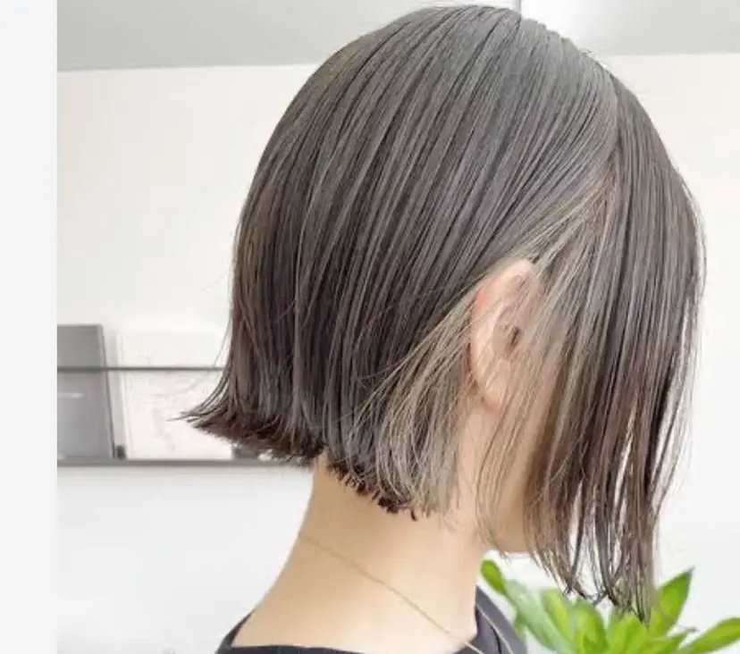 杉田 木綿子の掲載