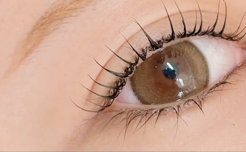 Salon TERRA🌏の掲載