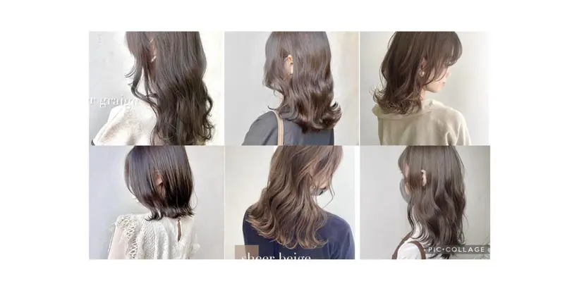 🫧髪質改善🫧 園城寺裕也の掲載