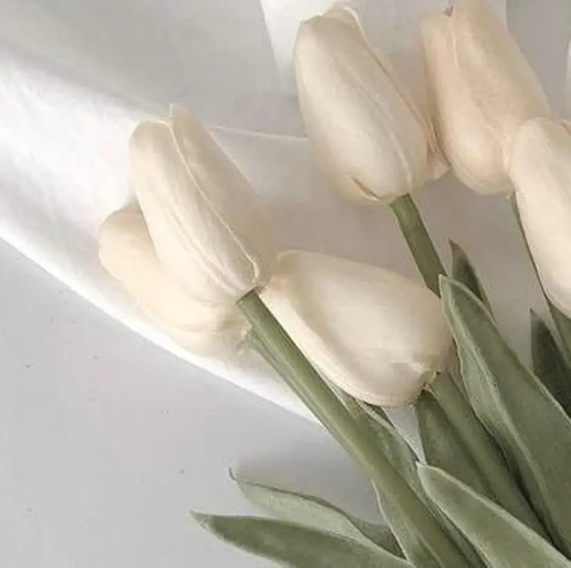 よしだ ななこの掲載