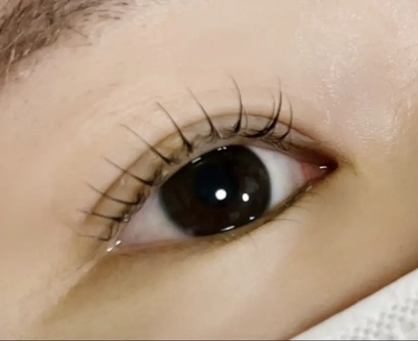 内田 恵美の掲載