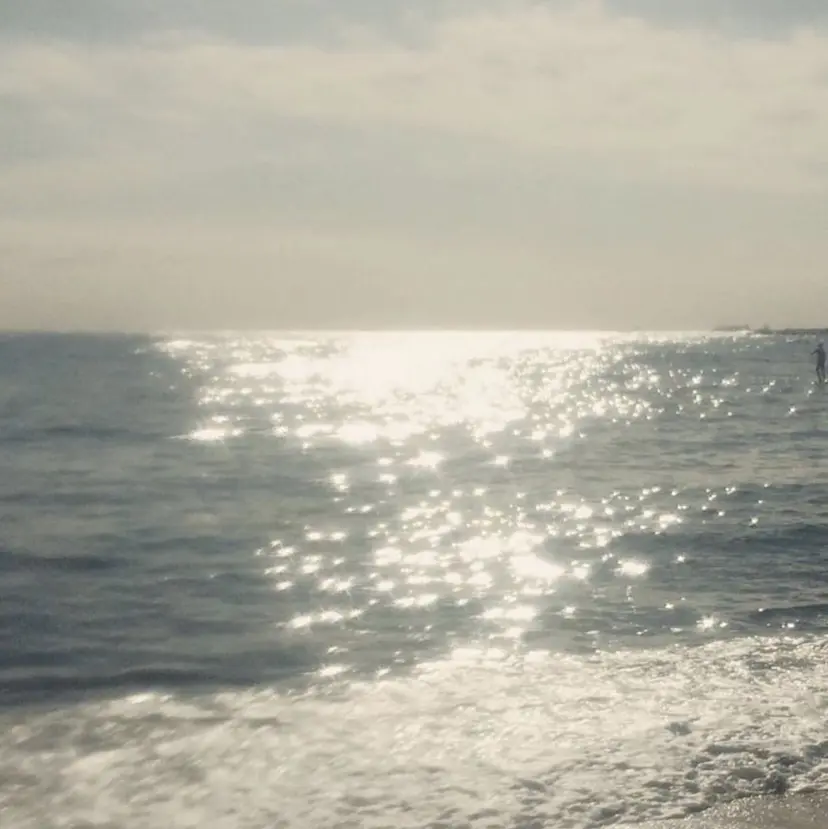 🐈‍⬛ ibuの掲載