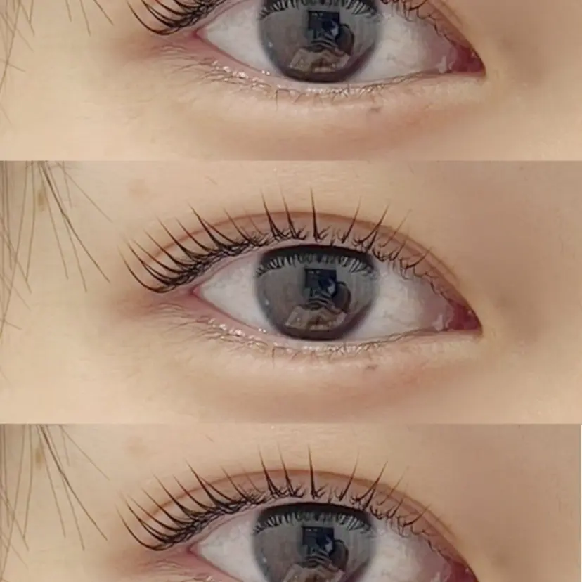 ミエル トヤマの掲載