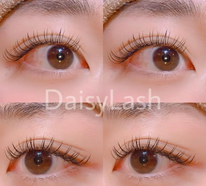 DaisyLash 京橋店の掲載