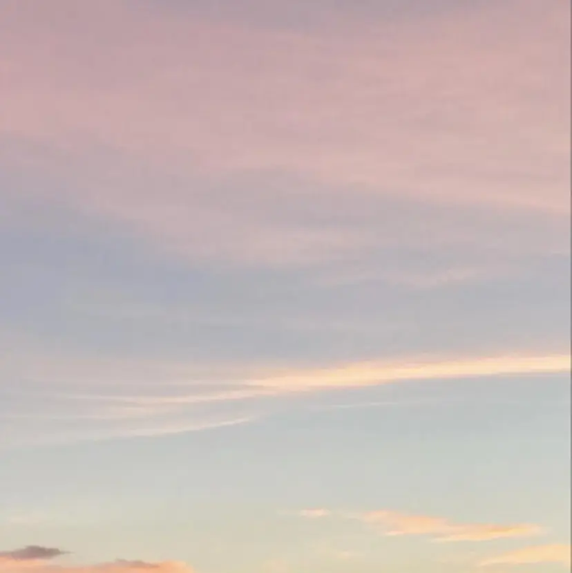 白井 雪乃の掲載