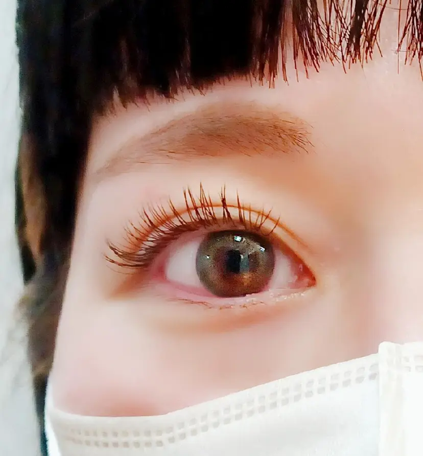 prima_d 曽我の掲載